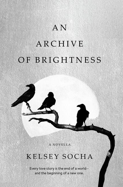 Kniha An Archive of Brightness 