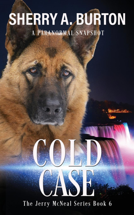 Knjiga Cold Case Sherry A. Burton