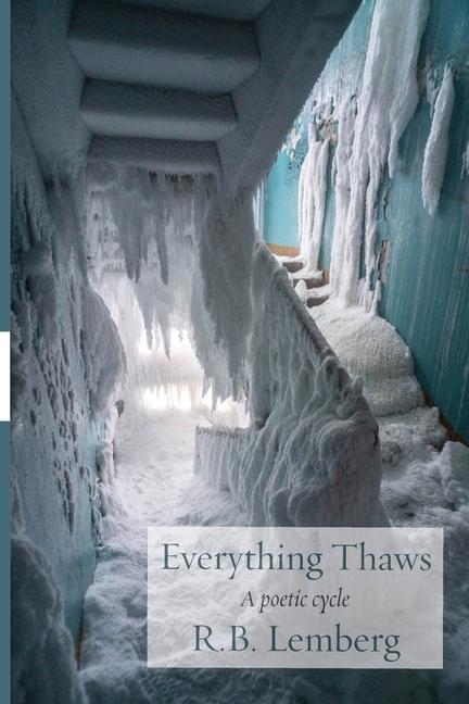 Boek Everything Thaws: A poetic cycle R. B. Lemberg