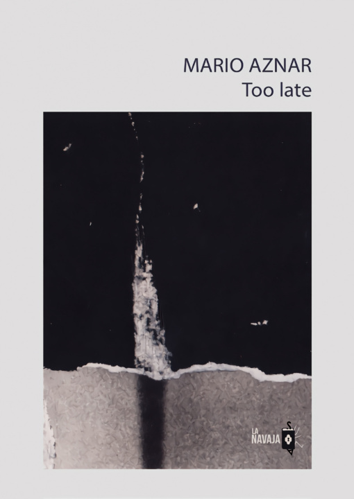 Buch Too late MARIO AZNAR PEREZ