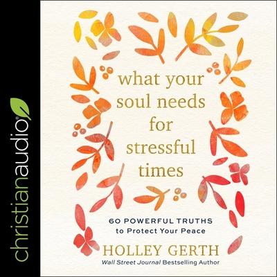 Digital What Your Soul Needs for Stressful Times: 60 Powerful Truths to Protect Your Peace Holley Gerth