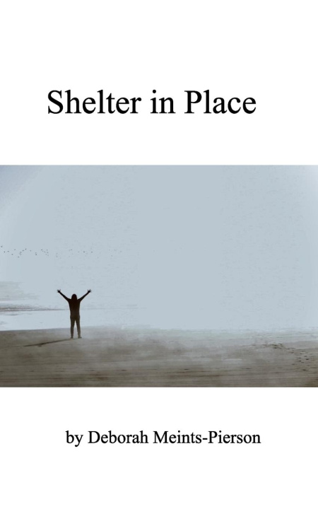 Knjiga Shelter in Place Deborah Meints-Pierson