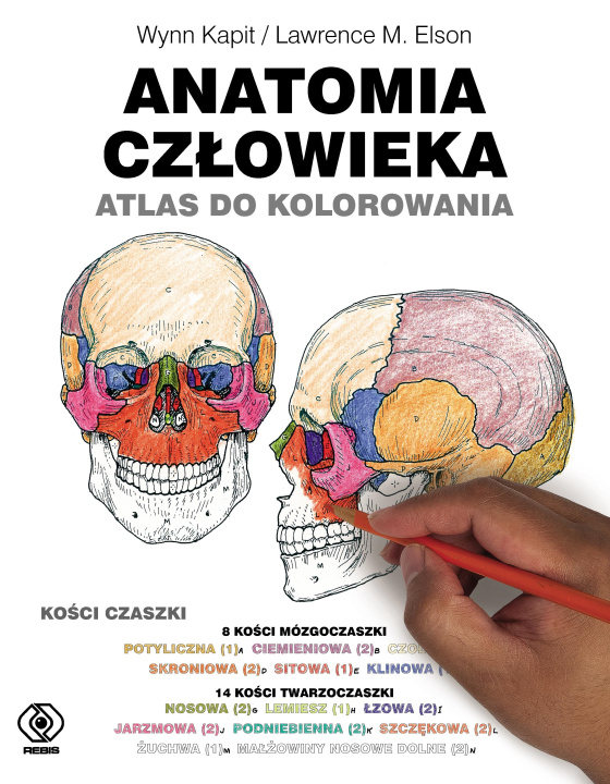 Kniha Anatomia człowieka. Atlas do kolorowania Wynn Kapit