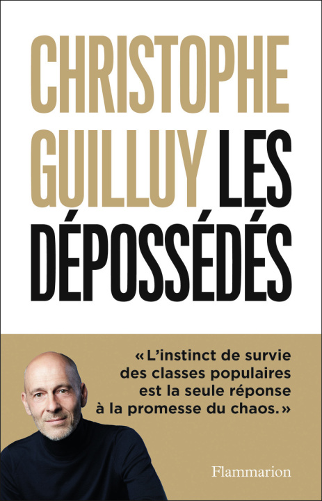 Buch Les dépossédés Guilluy