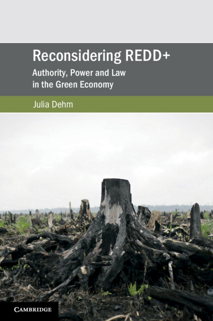 Knjiga Reconsidering REDD+ Julia Dehm