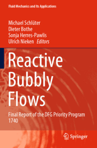 Buch Reactive Bubbly Flows Michael Schlüter