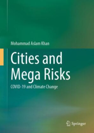 Knjiga Cities and Mega Risks Mohammad Aslam Khan