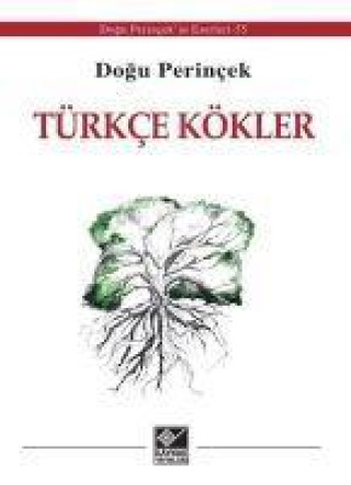 Kniha Türkce Kökler 