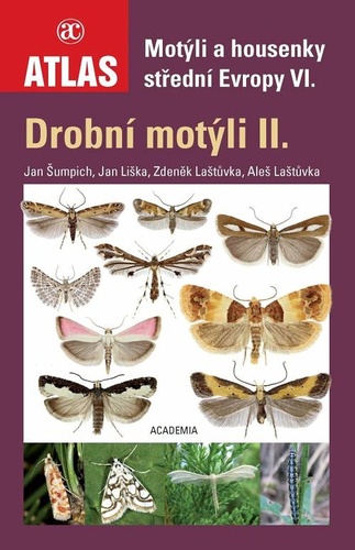 Book Motýli a housenky střední Evropy VI. Aleš Laštůvka