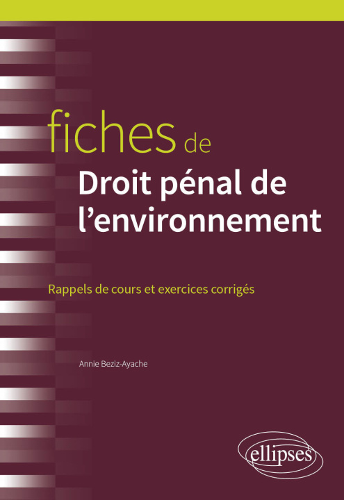 Buch Fiches de droit pénal de l'environnement Beziz-Ayache