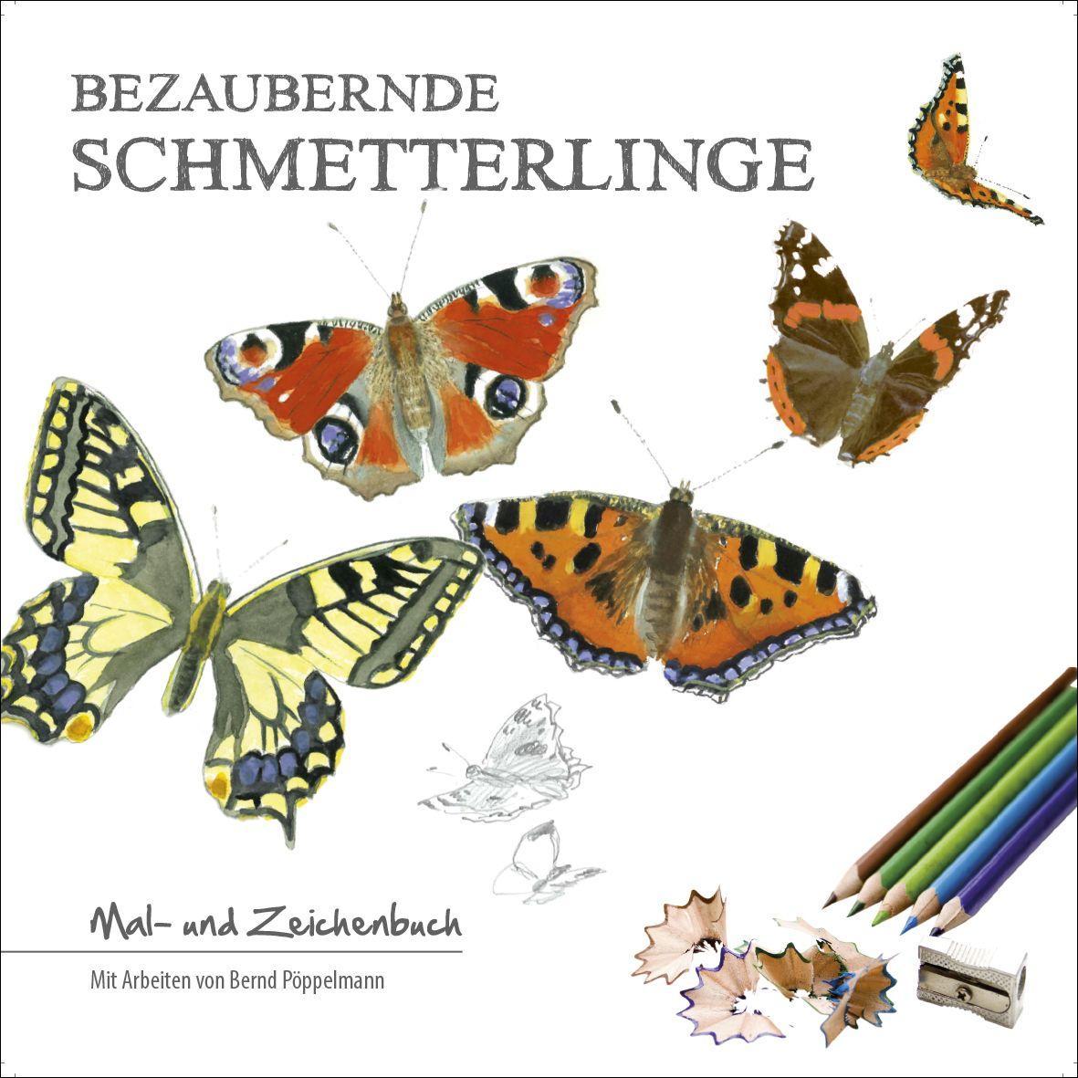 Kniha Bezaubernde Schmetterlinge 