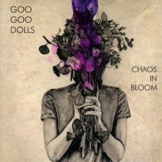 Audio Chaos In Bloom Goo Goo Dolls