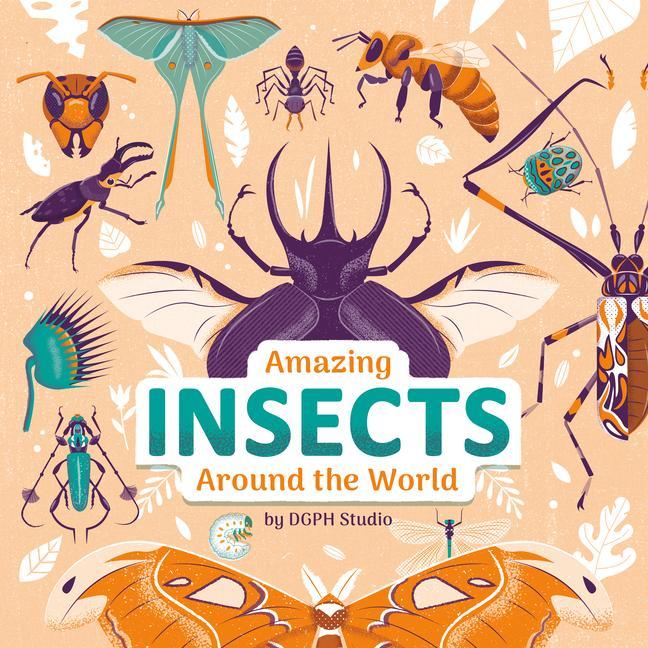 Carte Amazing Insects Around the World 