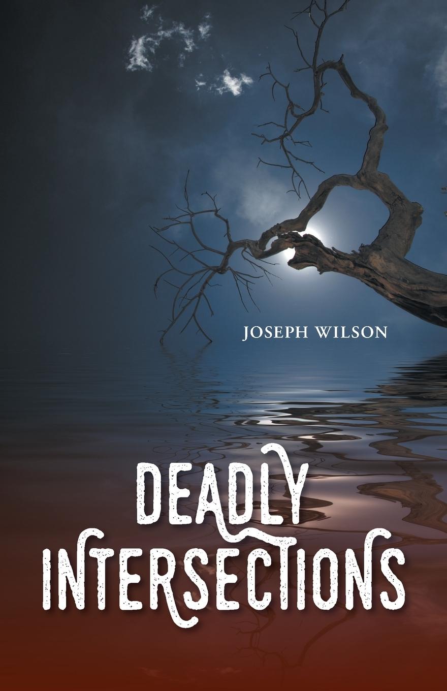 Knjiga Deadly Intersections Joseph Wilson