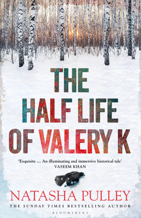 Kniha Half Life of Valery K 