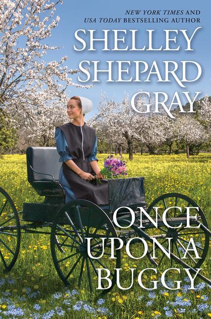 Knjiga Once Upon a Buggy Gray