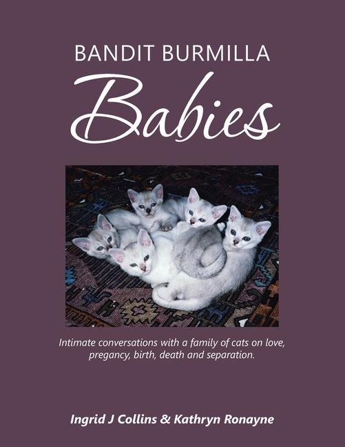 Könyv Bandit Burmilla Babies Kathryn Ronayne