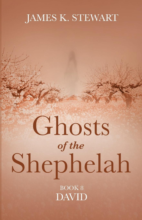 Knjiga Ghosts of the Shephelah, Book 8 James K. Stewart
