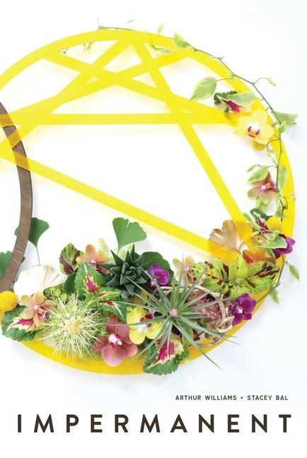 Knjiga Impermanent Stacey Bal