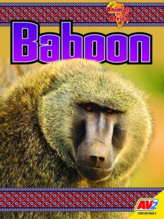 Knjiga Baboon 