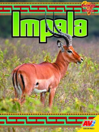 Knjiga Impala 