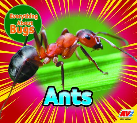 Knjiga Ants 