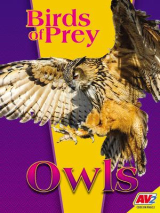 Knjiga Owls John Willis