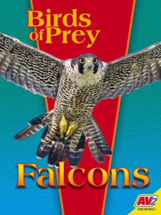 Knjiga Falcons 