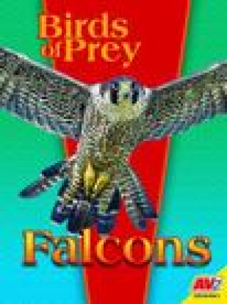 Knjiga Falcons 
