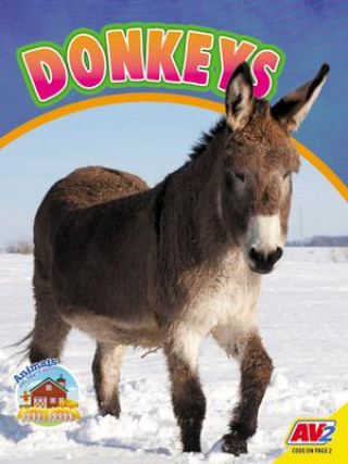 Knjiga Donkeys 