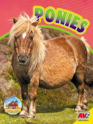 Knjiga Ponies 