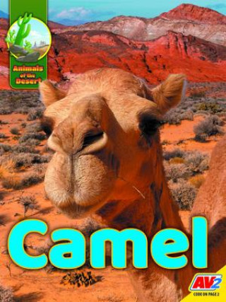 Knjiga Camel 