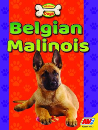 Knjiga Belgian Malinois 