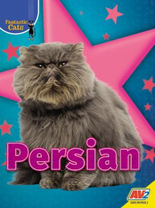 Knjiga Persian 