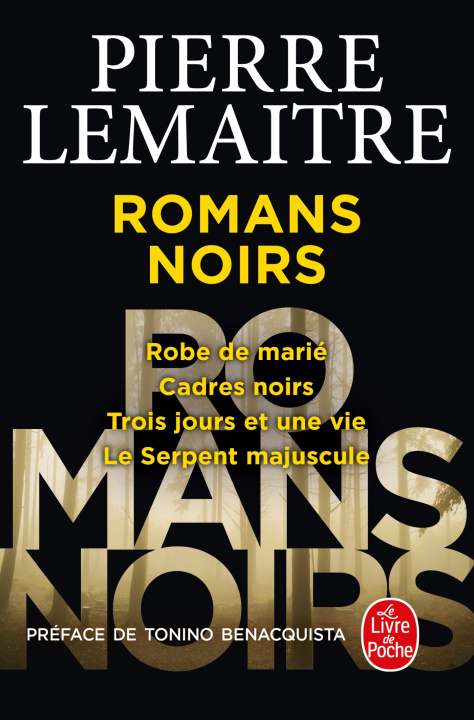 Könyv Les Romans noirs Pierre Lemaitre