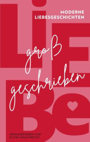 Buch Liebe großgeschrieben Joshua Beer