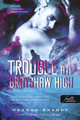 Kniha Trouble at Brayshaw High - A Brayshaw Balhé Meagan Brandy