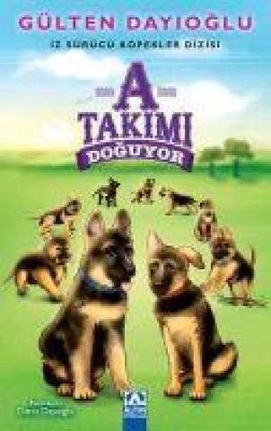 Knjiga A Takimi Doguyor 