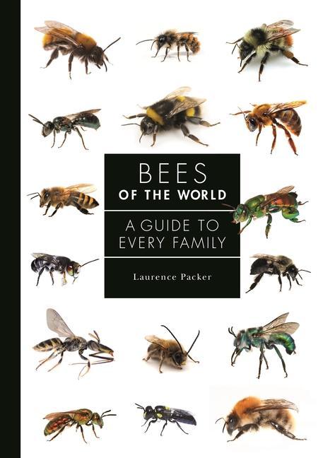 Carte Bees of the World Laurence Packer