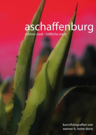 Book Aschaffenburg Werner Hohe-Dorst
