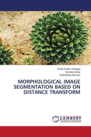 Βιβλίο MORPHOLOGICAL IMAGE SEGMENTATION BASED ON DISTANCE TRANSFORM Santanu Koley
