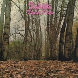 Audio Think Pink (Expanded 2CD Edition) Twink
