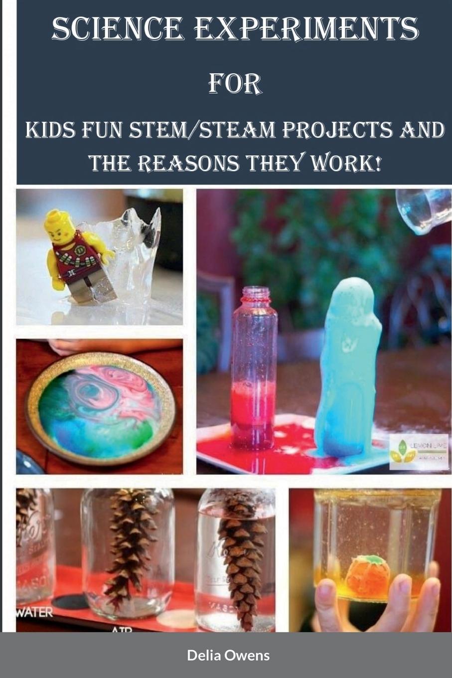 Kniha Science Experiments for Kids 