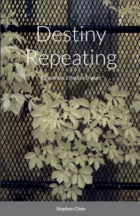 Knjiga Destiny Repeating Stephen Chen