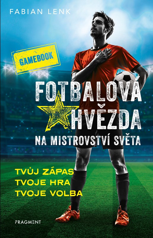 Kniha Fotbalová hvězda na mistrovství světa Fabian Lenk