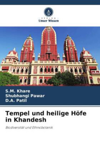 Kniha Tempel und heilige Höfe in Khandesh Shubhangi Pawar