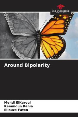 Knjiga Around Bipolarity Kammoun Rania