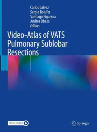Kniha Video-Atlas of VATS Pulmonary Sublobar Resections Carlos Galvez