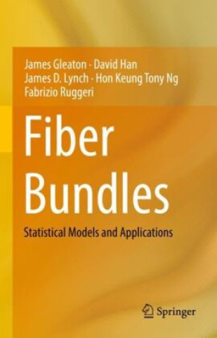 Libro Fiber Bundles James Gleaton