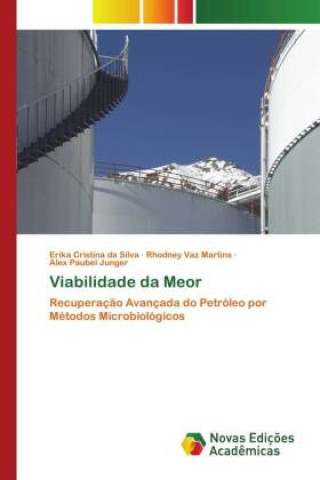 Knjiga Viabilidade da Meor Rhodney Vaz Martins